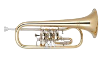 Trompete / Flügelhorn
